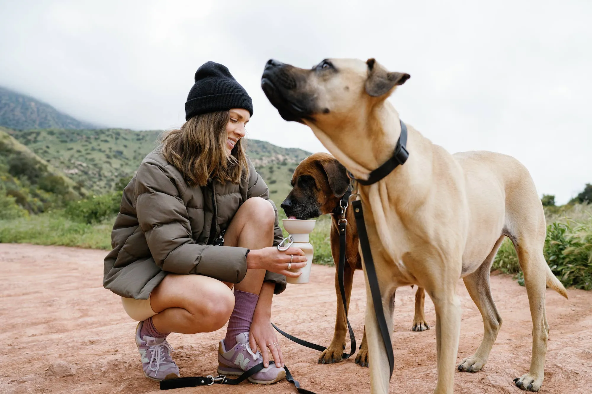 Oat Dog Travel Water Bottle, 20oz, Flip Silicone