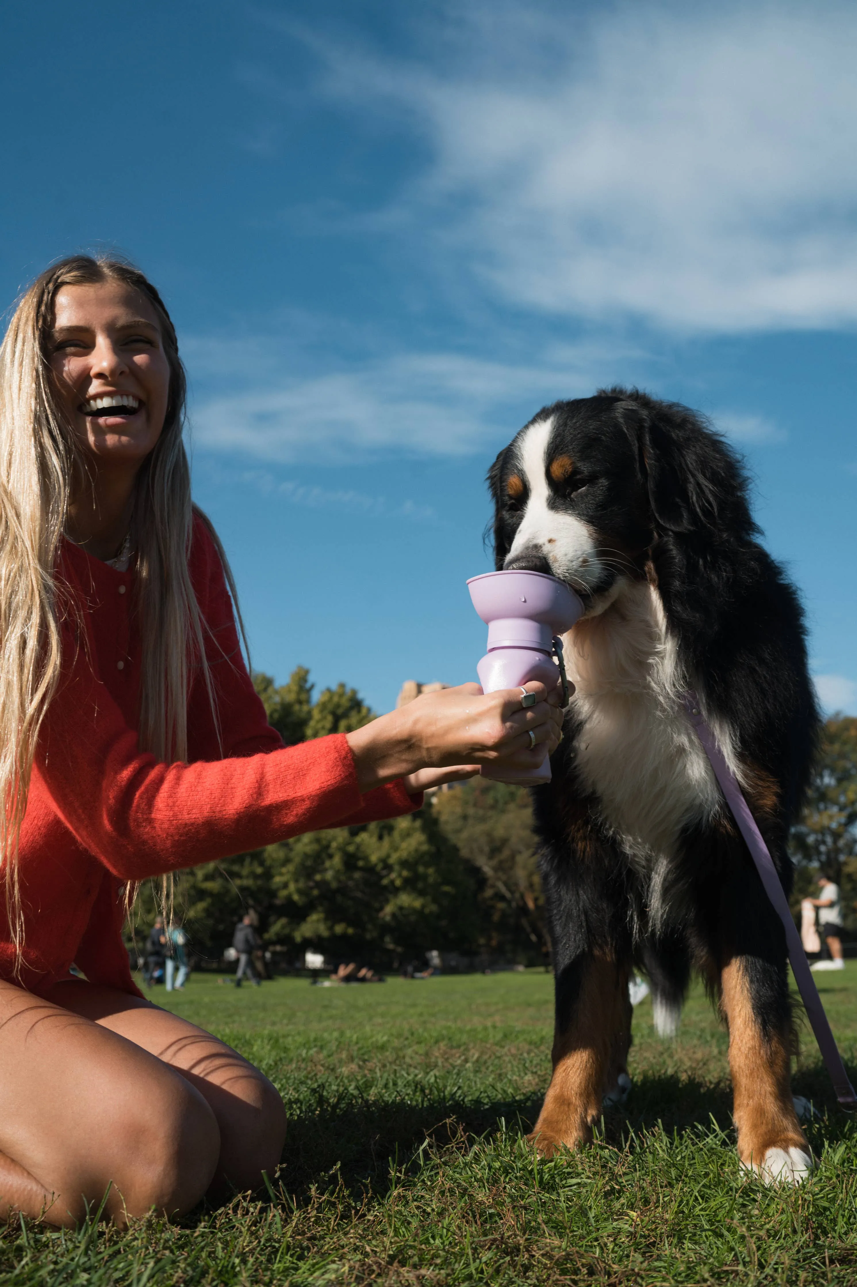 Oat Dog Travel Water Bottle, 20oz, Flip Silicone