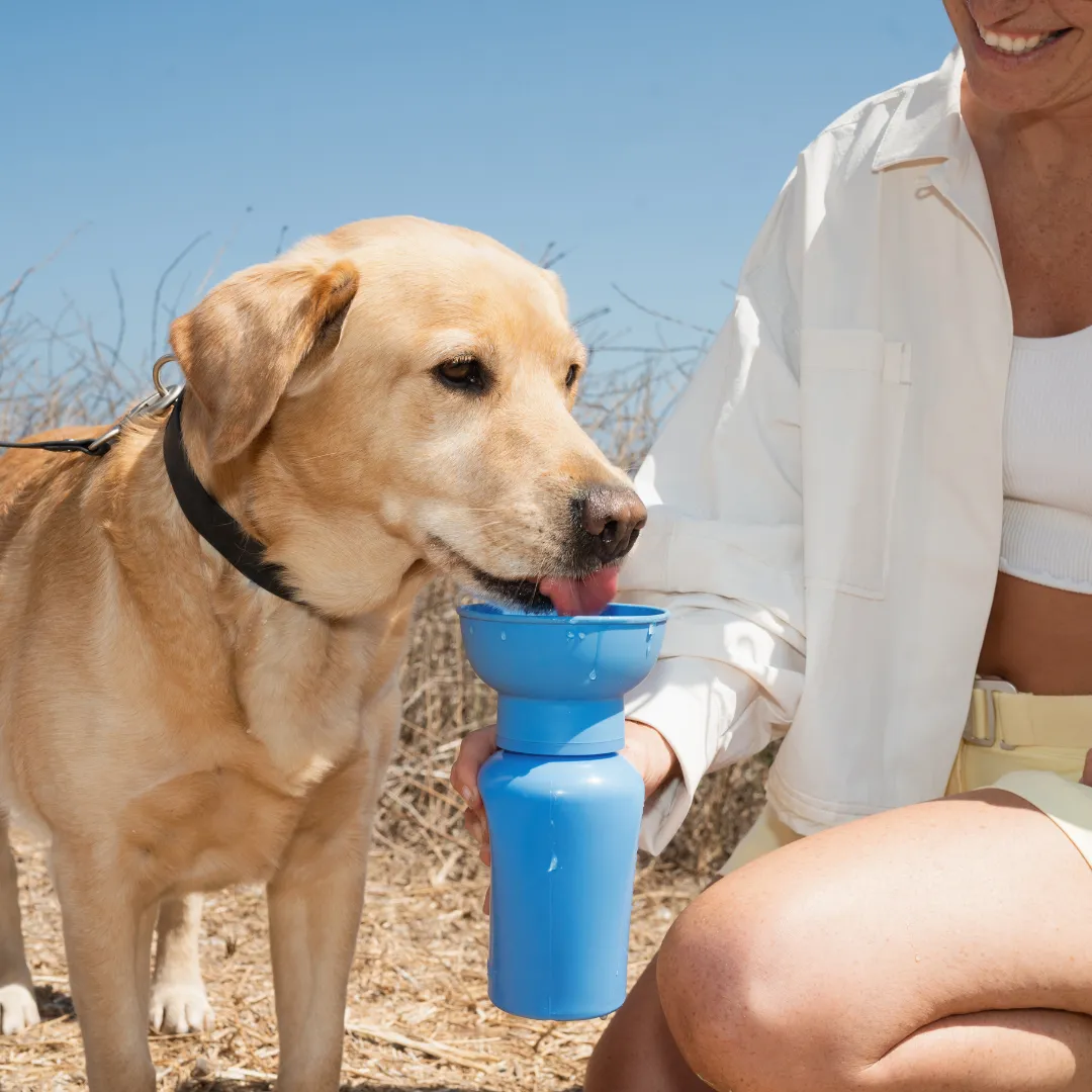 Oat Dog Travel Water Bottle, 20oz, Flip Silicone