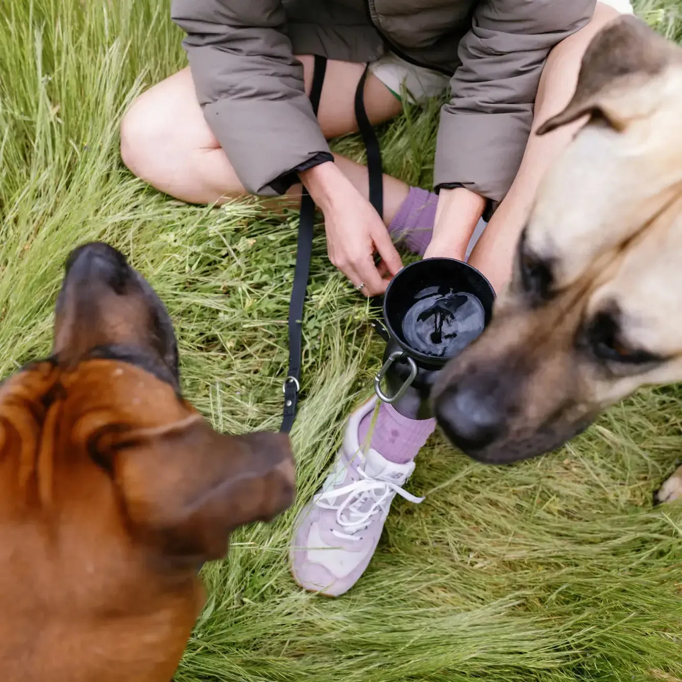 Oat Dog Travel Water Bottle, 20oz, Flip Silicone