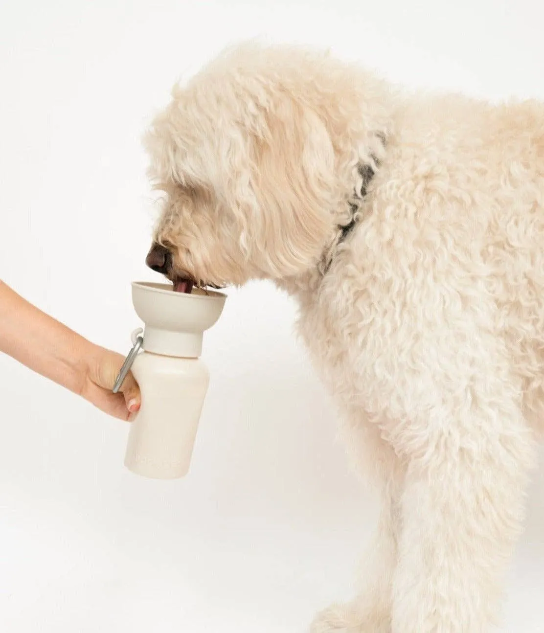 Oat Dog Travel Water Bottle, 20oz, Flip Silicone